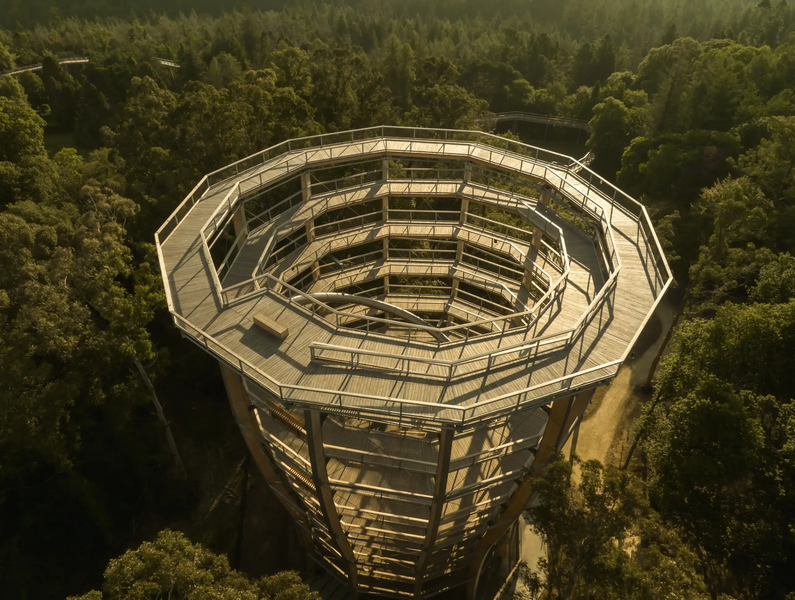 Aerial view of a tall, spiral wooden walkway tower rising above a dense green forest, with sunlight casting soft shadows on the structure and surrounding trees.