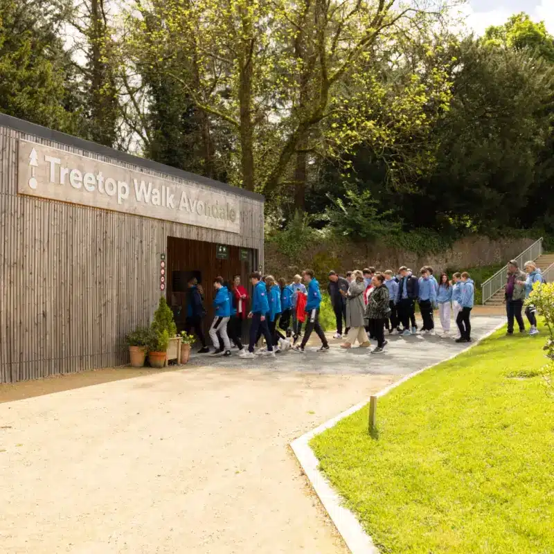 A group of people, including children and adults, enters a wooden building labelled “Treetop Walk Avondale,” surrounded by trees and greenery on a sunny day.