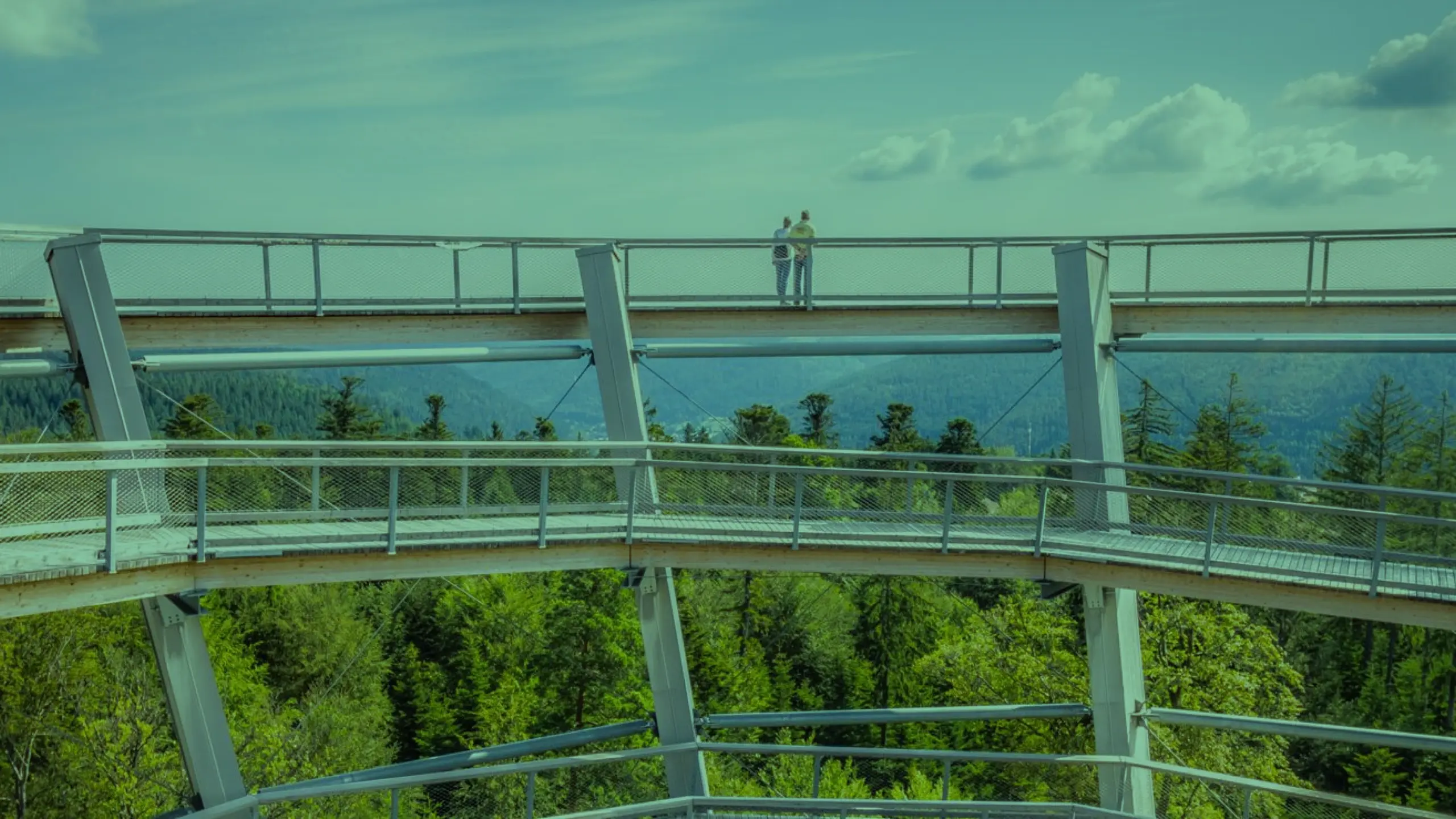 Two people stand on a high, winding walkway above a lush green forest, with mountains and a blue sky with clouds in the background.