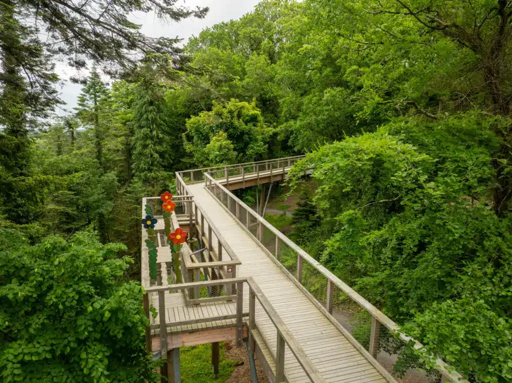 avondale - drone photos -1 9_2x A wooden walkway winds through dense green trees with colourful flower sculptures on the platform.