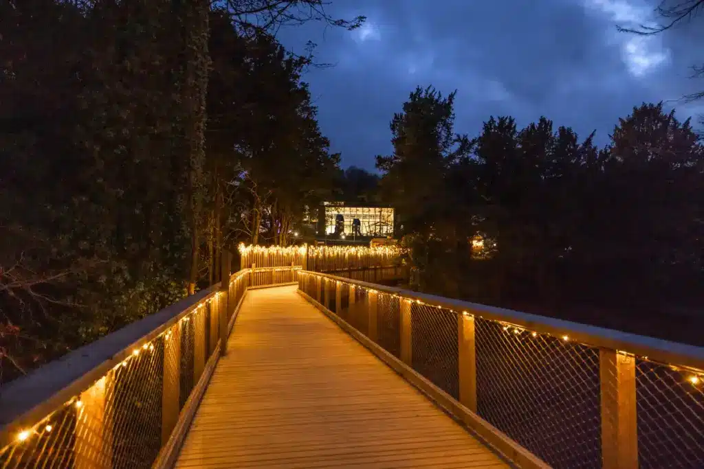 Avondale Evening Shoot - Camera -11 (1) A wooden bridge lined with fairy lights leads through trees towards a brightly lit building at night, with a dark, cloudy sky above.