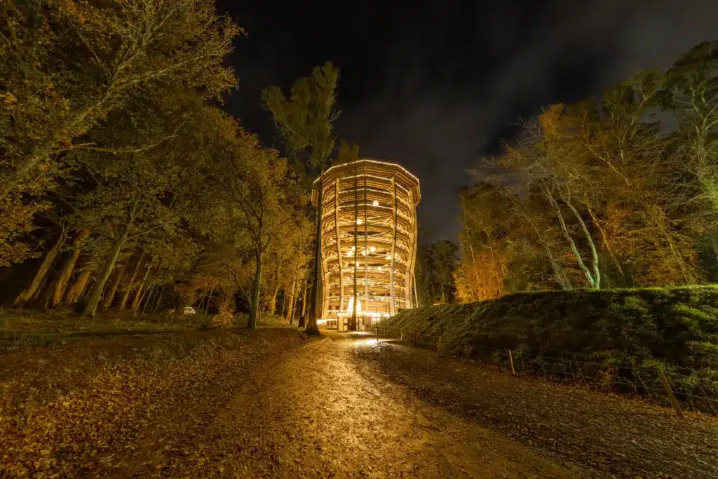 Avondale Evening Shoot - Camera -29 (1) A tall, round wooden tower glows with lights at night, surrounded by leafless autumn trees and a leaf-covered path leading up to it.
