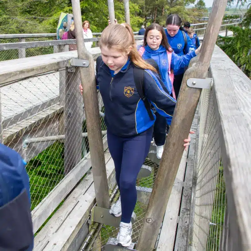 A group of children in school uniforms walk carefully across a wooden and metal bridge outdoors, surrounded by trees, during what appears to be a school trip or outdoor activity.