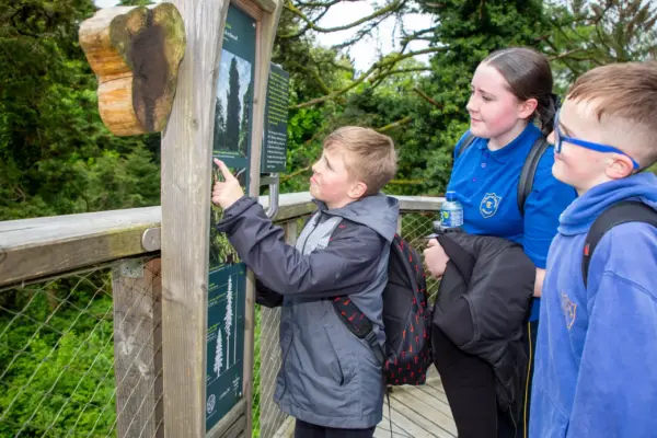 School-Primary-010 1_2x Three children with rucksacks read and point at information on a wooden outdoor sign in a forested area, standing on a walkway surrounded by trees.