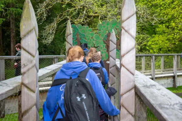 UL3A8874 1_2x A group of people with rucksacks walk along a wooden bridge surrounded by green trees, heading towards a leafy decorative archway.