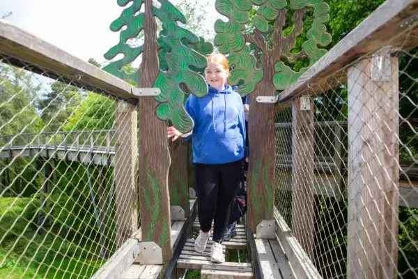 UL3A8881 1_2x A person in a blue hoodie walks on a wooden bridge with metal netting, passing between two painted wooden tree cut-outs, surrounded by greenery.